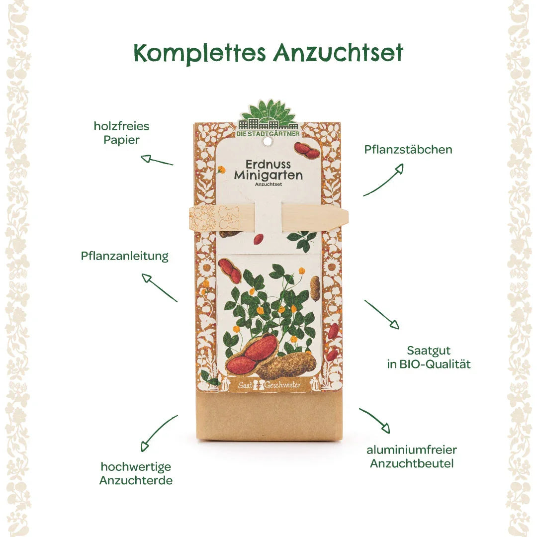 Anzuchtset – Minigarten Erdnuss