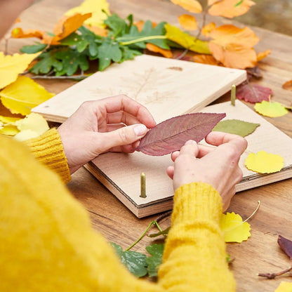 Blattpresse für Blätter & Blüten