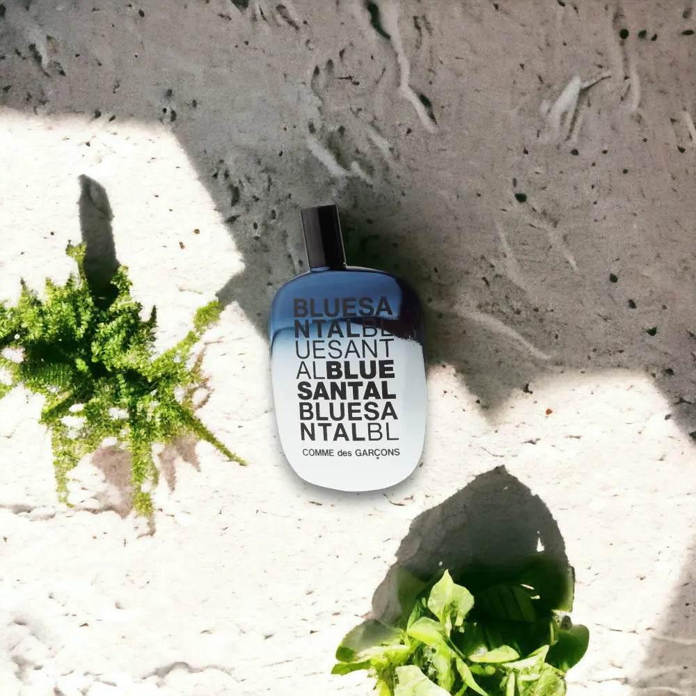 Comme des Garcons Blue Santal Eau de Parfum - BLACK ELIXIR - Maison de Parfum