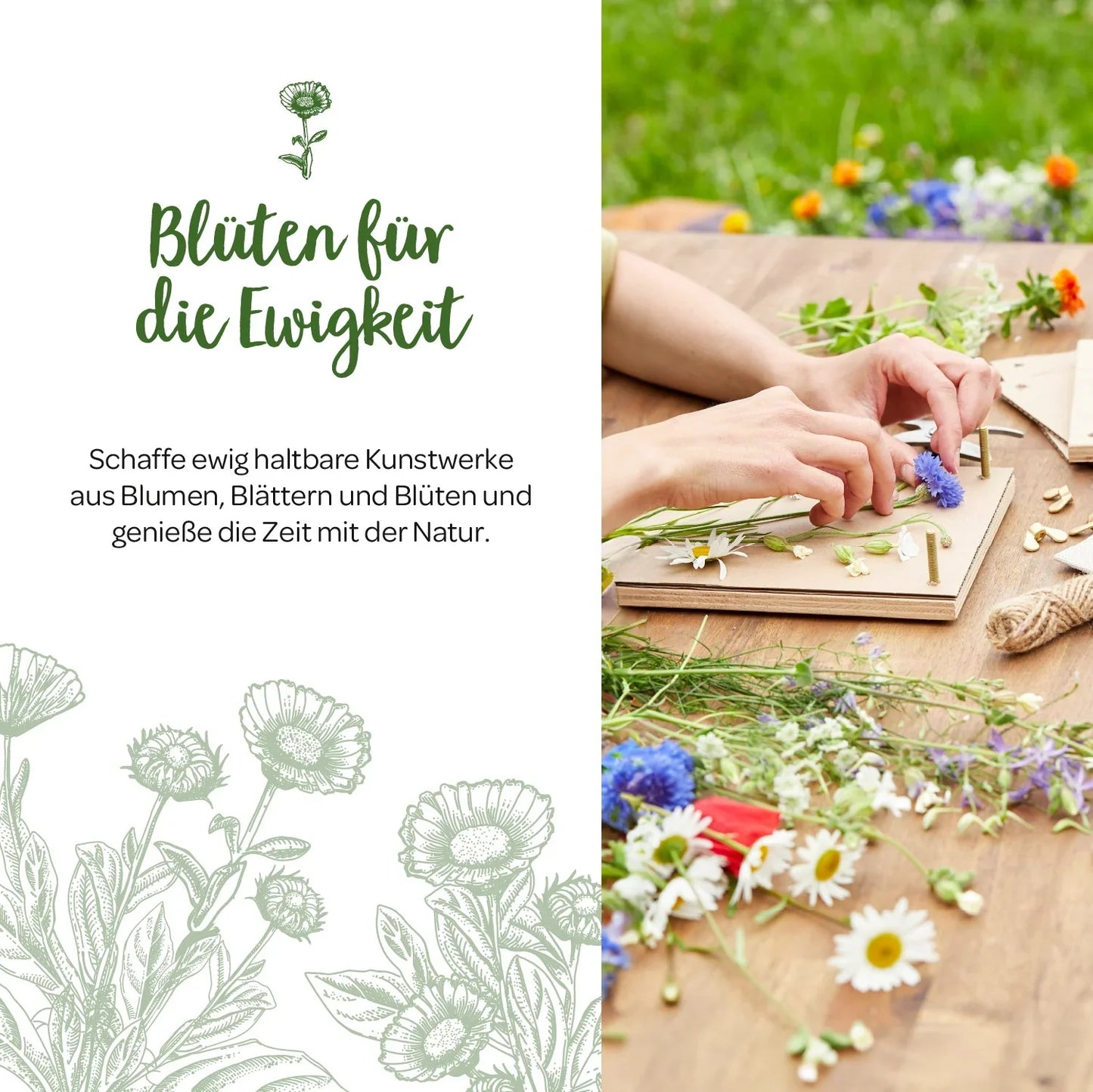 Blumenpresse für Blumen, Blüten & Co.