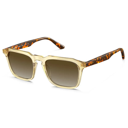 Albany-Amber Blossom