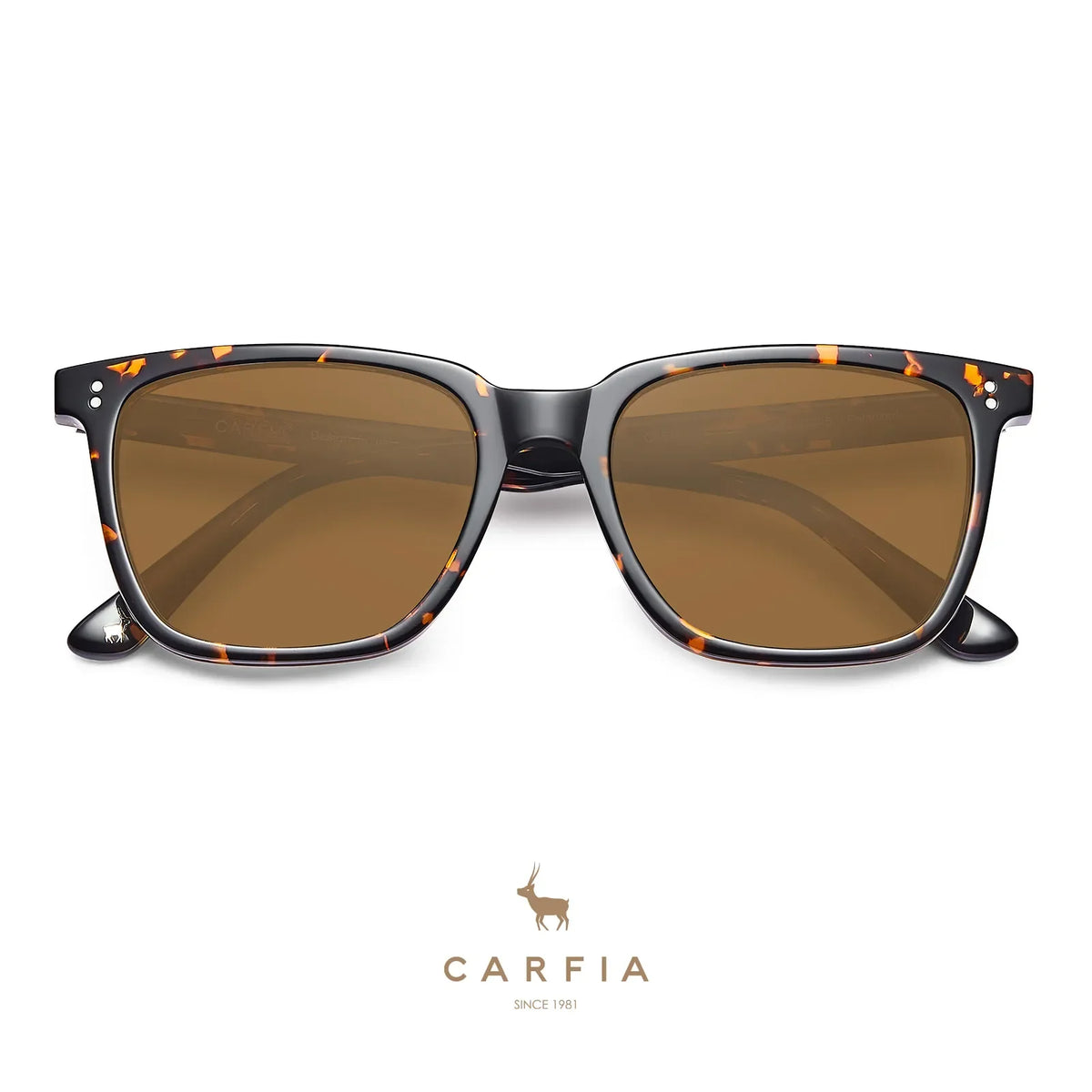 Kenosha-Autumn Radiance