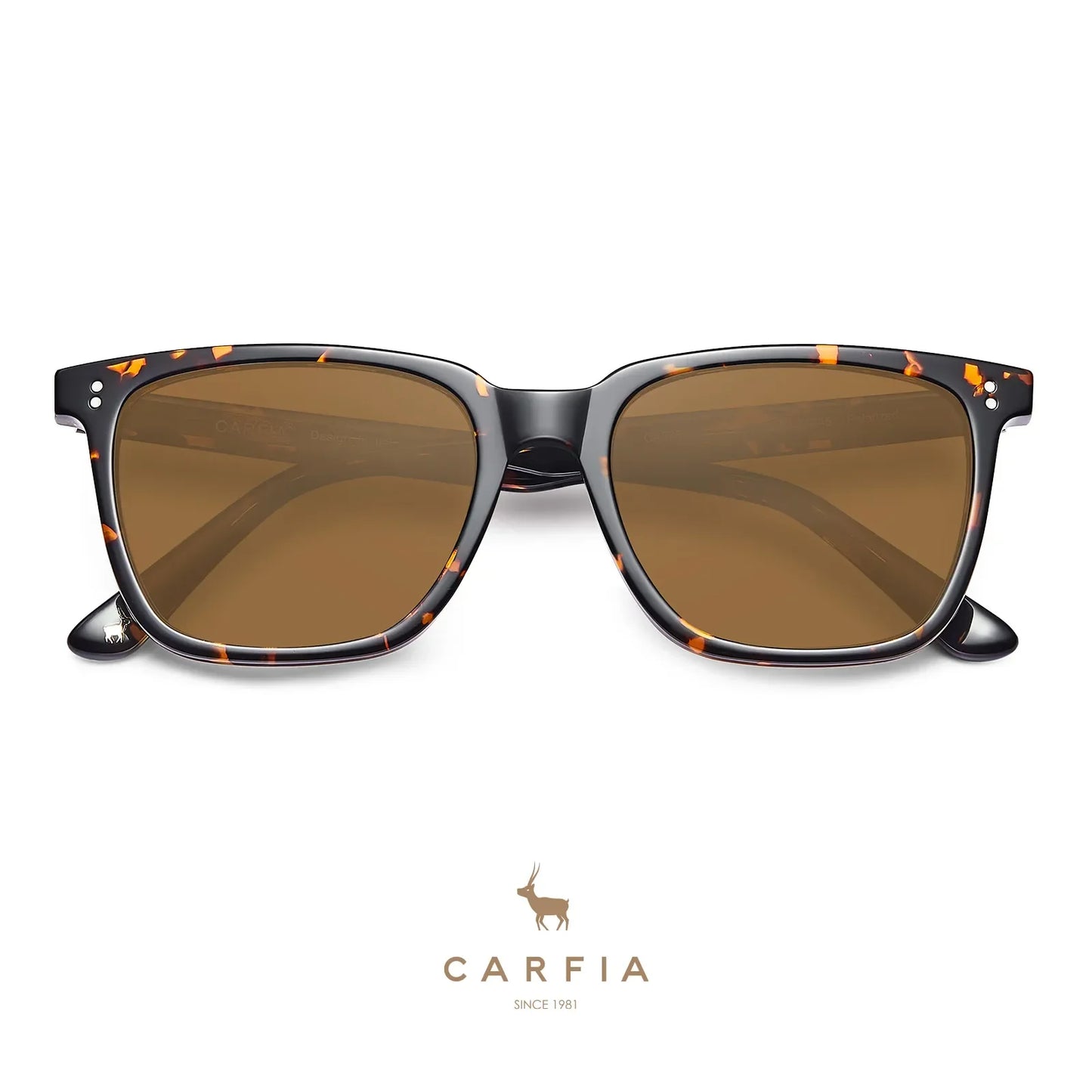 Kenosha-Autumn Radiance