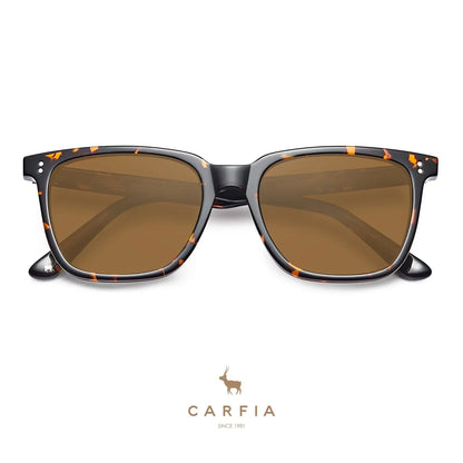 Kenosha-Autumn Radiance