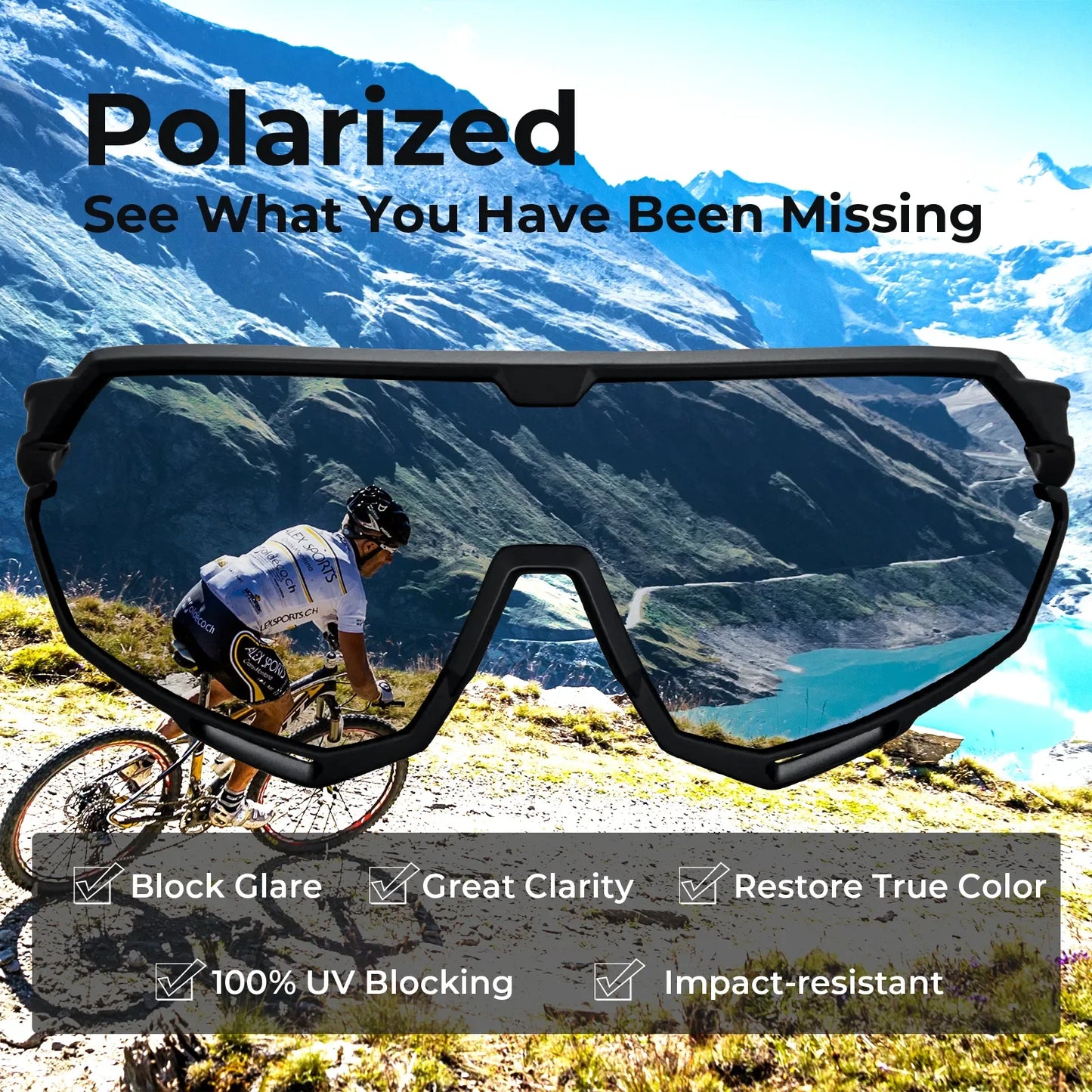 Trailblazer Pro-Velocity Vision
