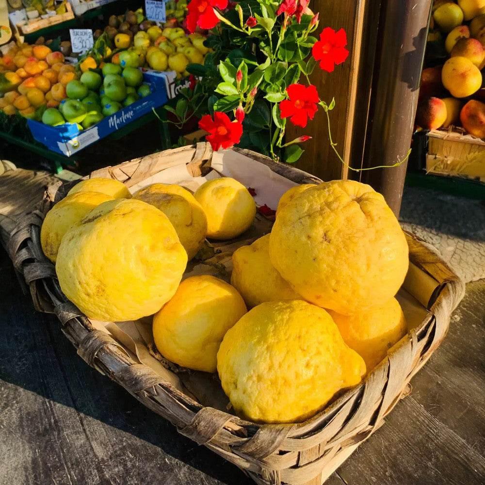 CASA AMALFI BUONGIORNO POSITANO 3 SOAP GIFT SET - BLACK ELIXIR - Maison de Parfum