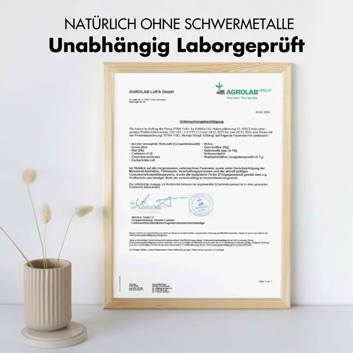 Shilajit Kapseln - 200x Mumijo Kapseln - Mit >80% Fulvinsäure - BLACK ELIXIR - Maison de Parfum