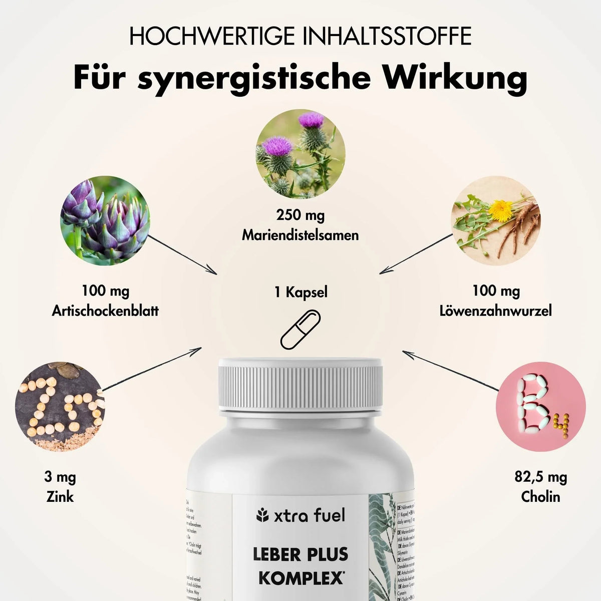 Leber Plus Komplex* - Leber Kur - Effektive Formel mit Mariendistel, Artischocke & Löwenzahn - BLACK ELIXIR - Maison de Parfum