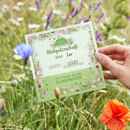 Blühpatenschaft für 1 m² Blumenwiese