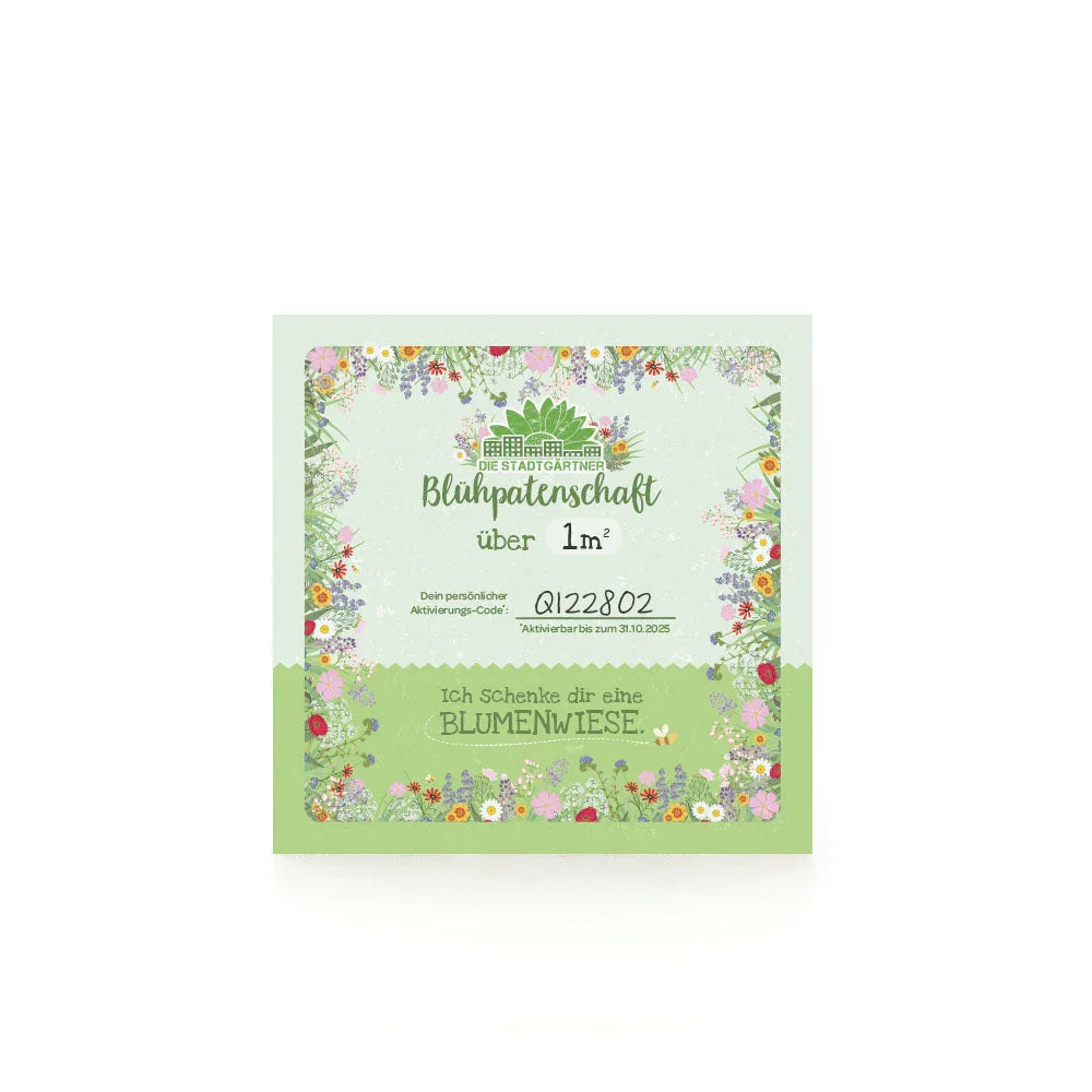 Blühpatenschaft für 1 m² Blumenwiese