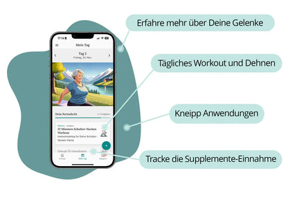 Gelenk+ Box - 14-Tage Intensivkur