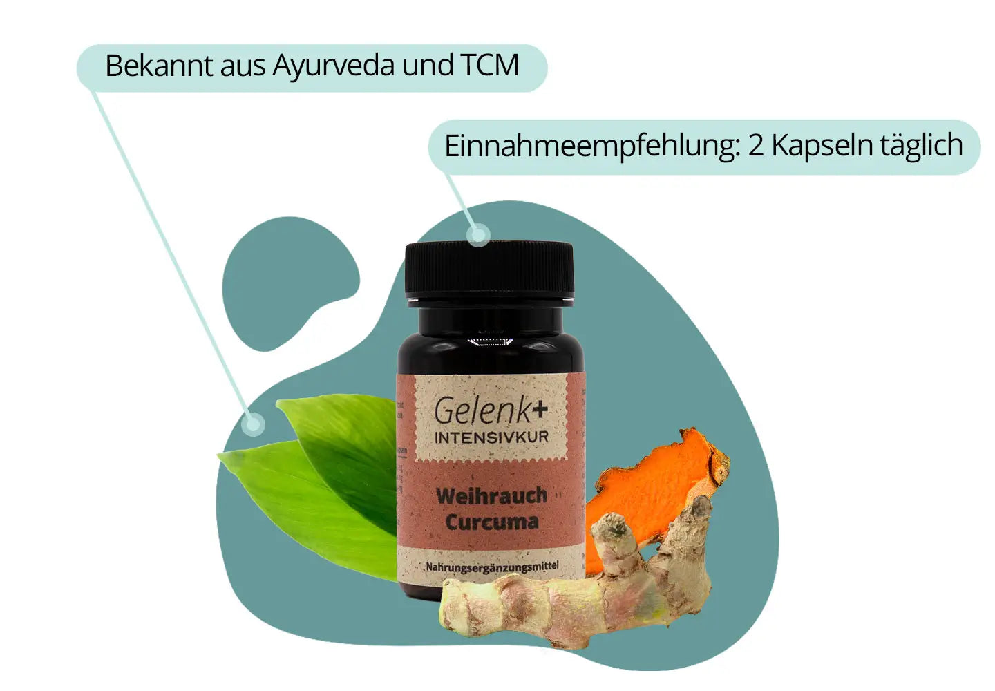 Gelenk+ Box - 14-Tage Intensivkur