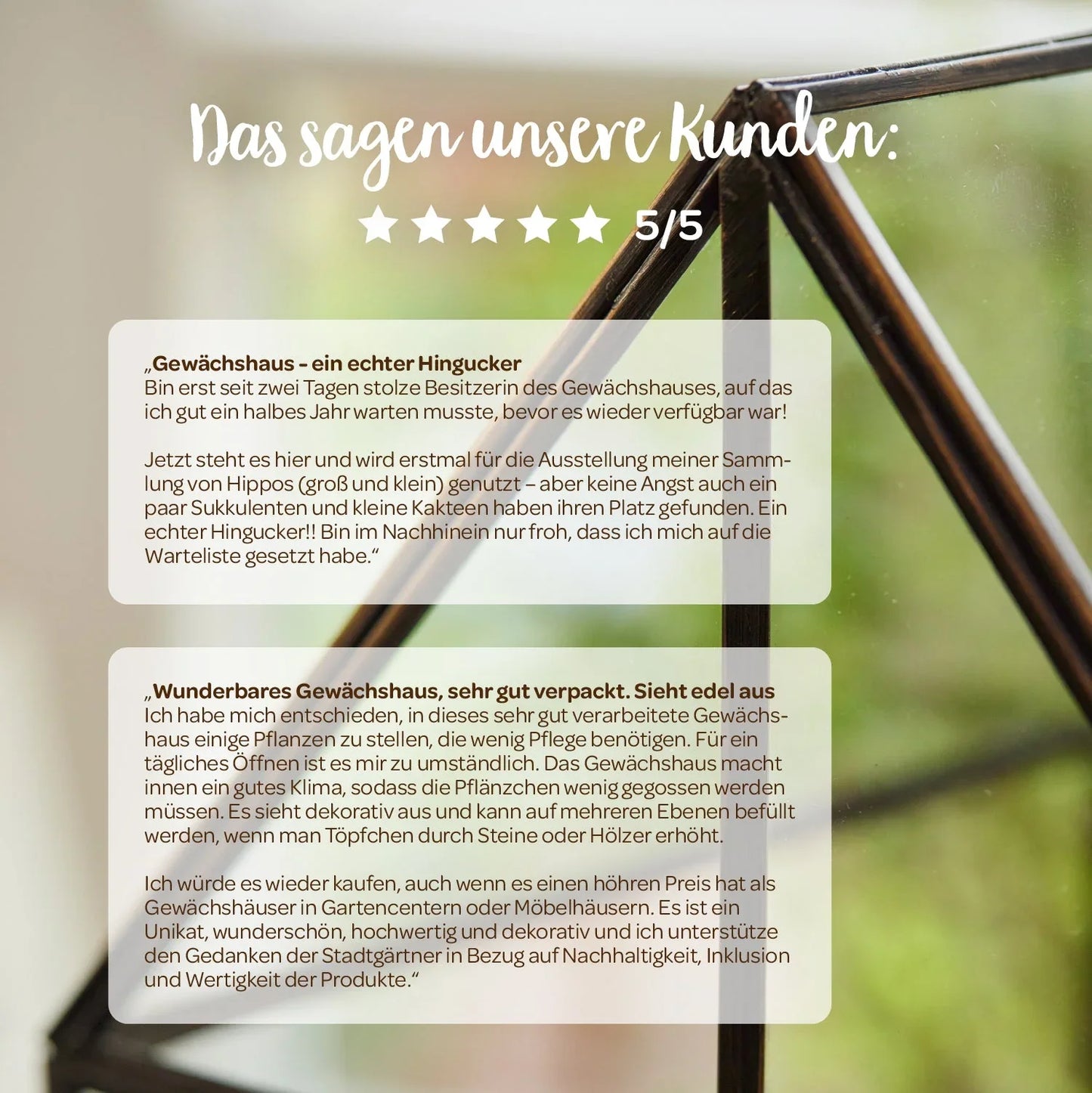 Hochwertiges Anzucht- und Gewächshaus