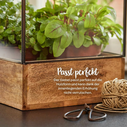 Hochwertiges Anzucht- und Gewächshaus