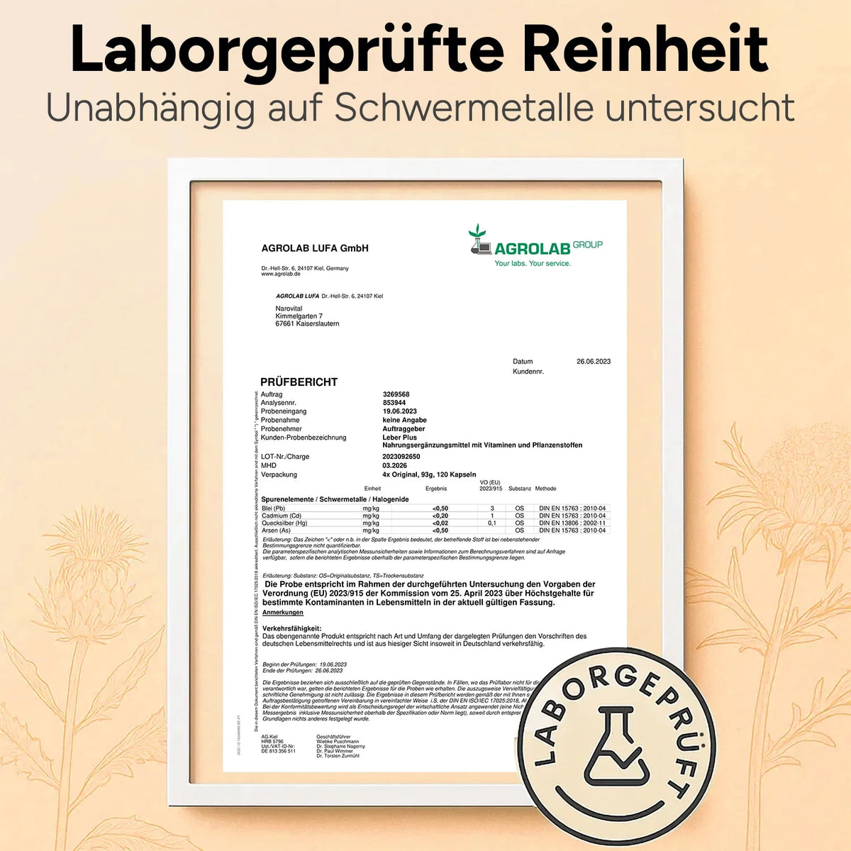 Leber Plus – Mariendistel Komplex