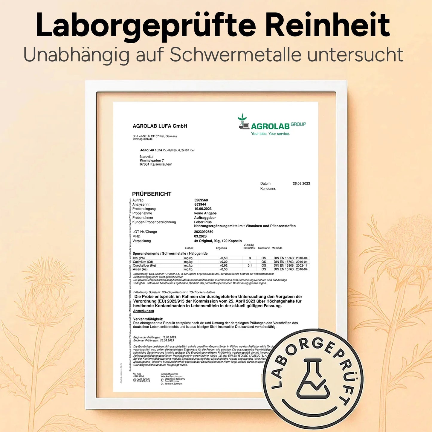 Leber Plus – Mariendistel Komplex