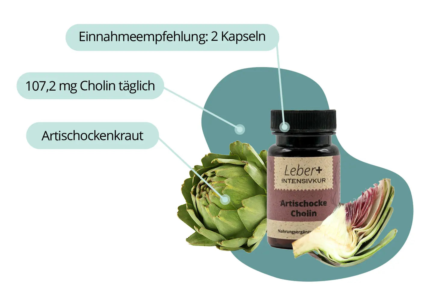 Leber+ Box - 14-Tage Intensivkur