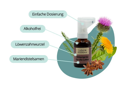 Leber+ Box - 14-Tage Intensivkur