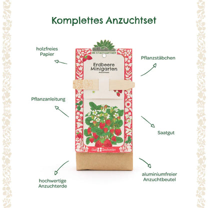 Anzuchtset – Minigarten Erdbeeren