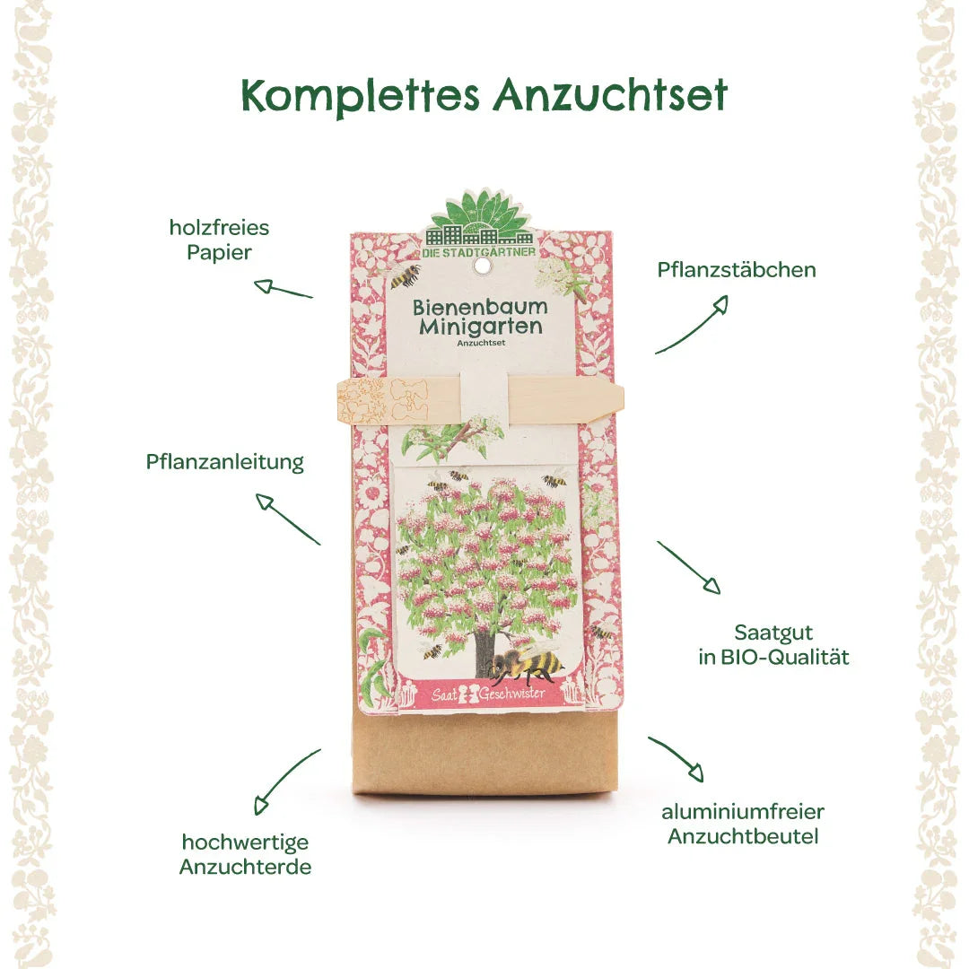 Anzuchtset Minigarten Bienenbaum