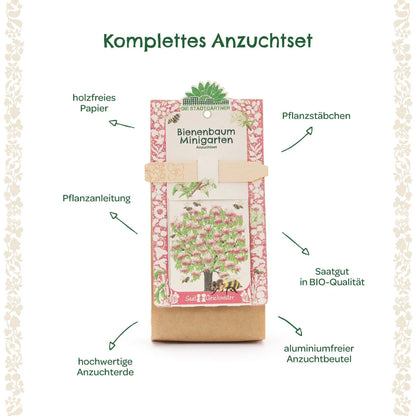 Anzuchtset Minigarten Bienenbaum