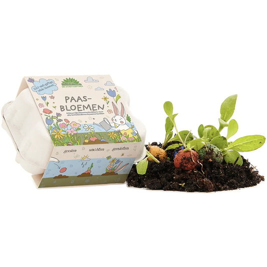 6 kleurrijke bloemknikkers in een eierdoos