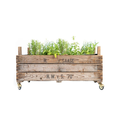 Rollendes Hochbeet aus Zwiebelsieben