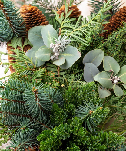 Bio ätherische Öl - „Shinrin Yoku“ – Waldduft für natürliche Entspannung