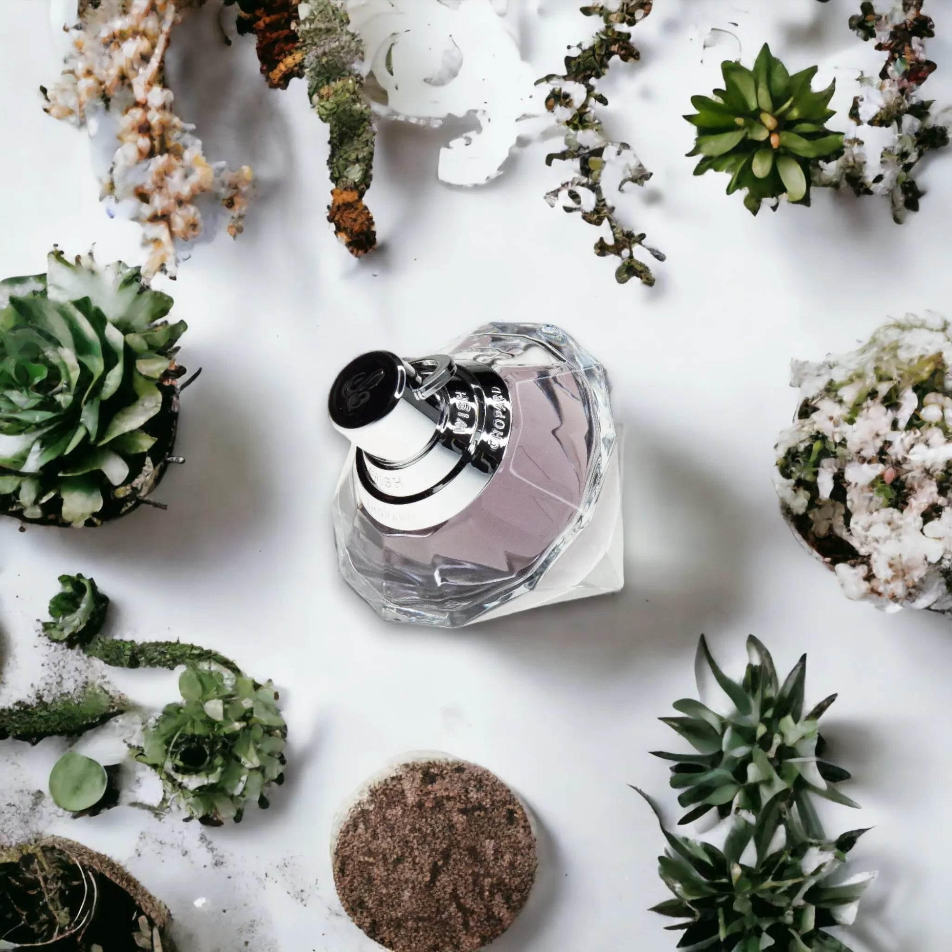 Luxuriöses Eau de Parfum in facettierter Flasche auf weißem Hintergrund mit Sukkulenten