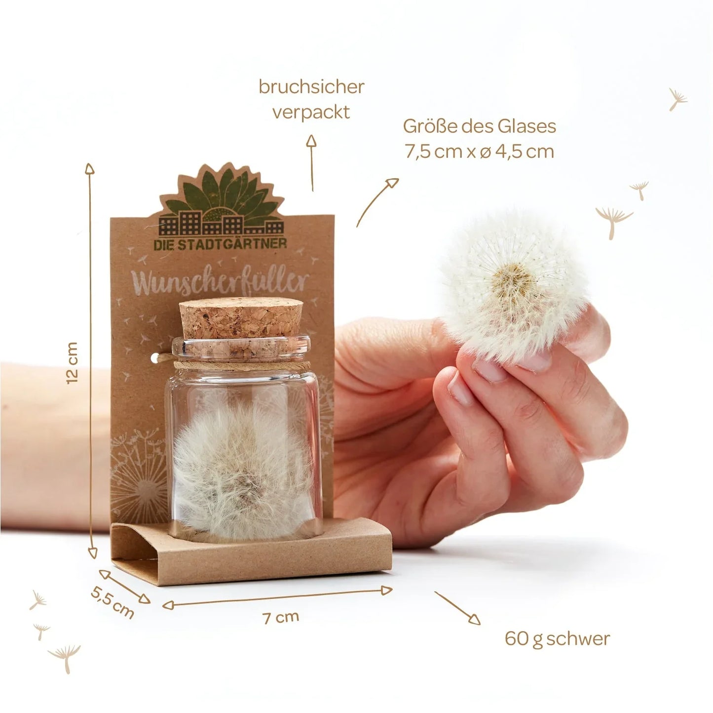 Großer Wunscherfüller – Pusteblume im Glas