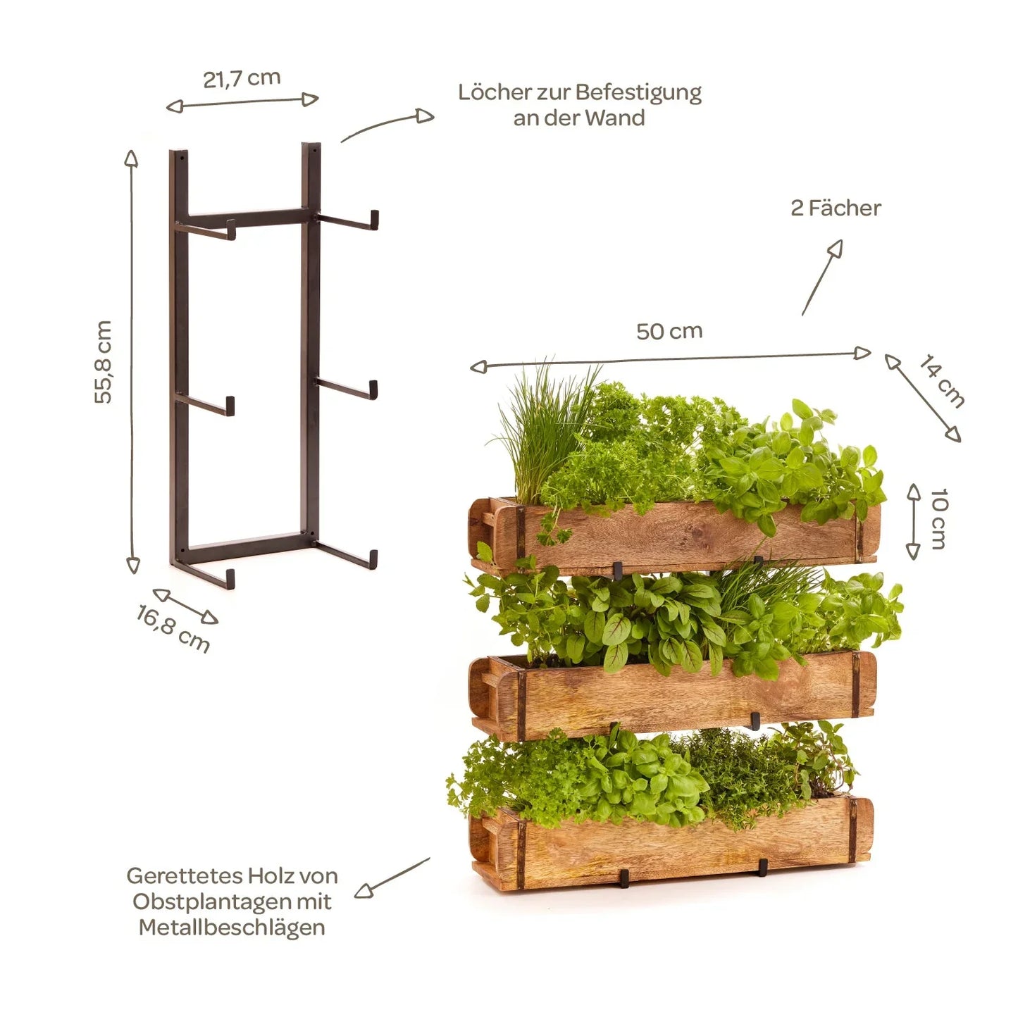 Set: 3 Ziegelformen (2 Fächer) mit Ständer
