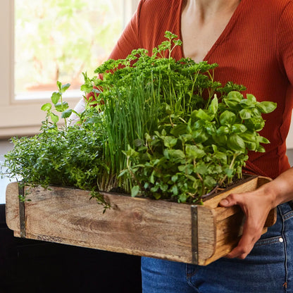 Ziegelform mit 6 Fächern