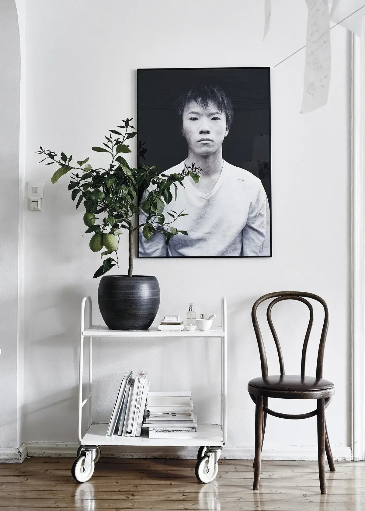 Green Home Book - Coffee Table Book - Grün Wohnen