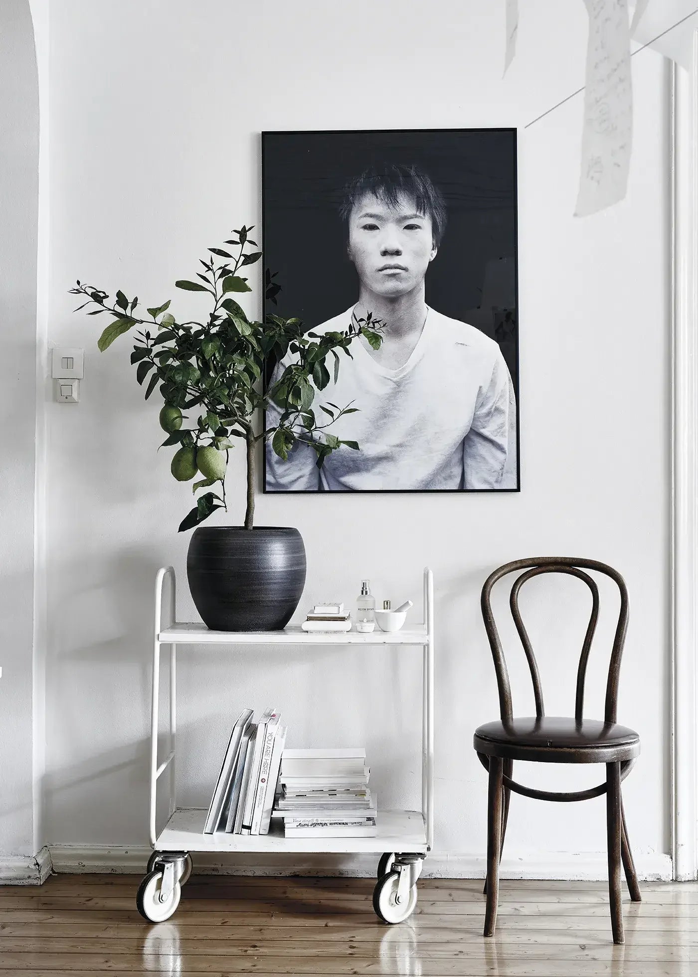 Green Home Book - Coffee Table Book - Grün Wohnen