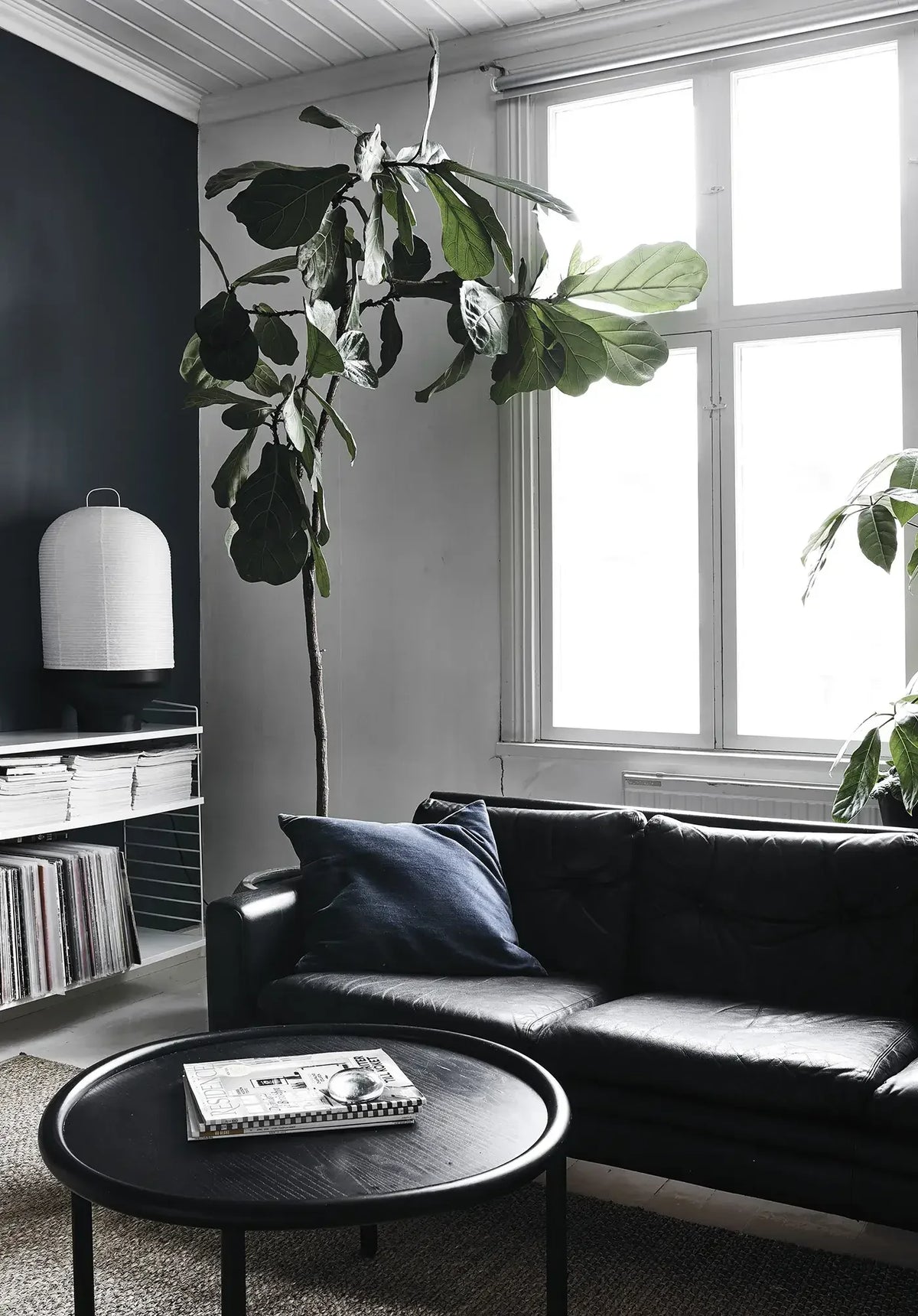 Green Home Book - Coffee Table Book - Grün Wohnen