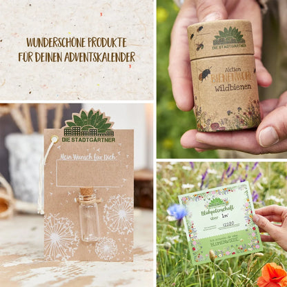 6er Set für deinen Adventskalender