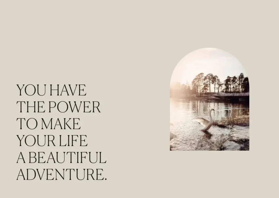 Book of Friends - Freundebuch für Erwachsene