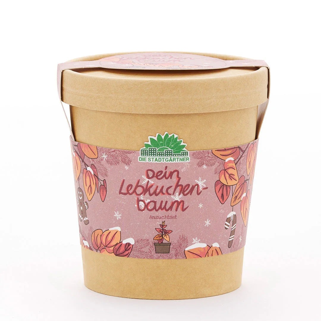 Lebkuchenbaum aus dem Becher