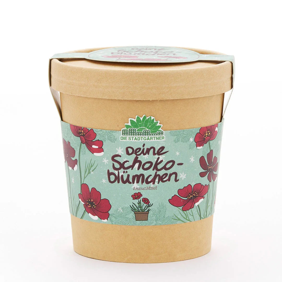 Schokoblumen aus dem Becher