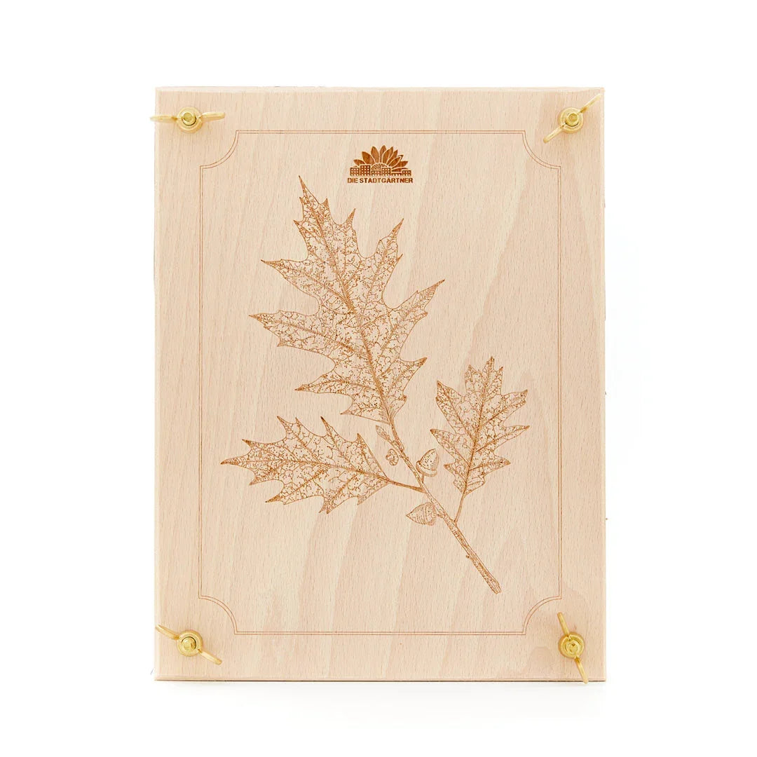 Blattpresse für Blätter & Blüten