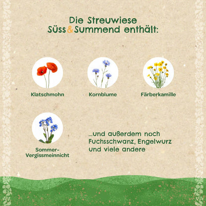 Streuwiese "Süß & Summend"