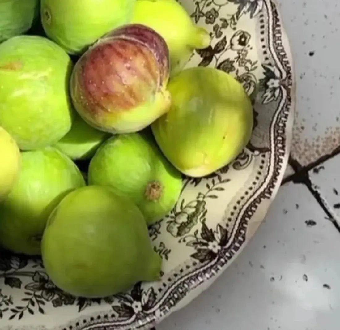 CASA AMALFI LIMITED EDITION CANDLE DUO - BLACK ELIXIR - Maison de Parfum