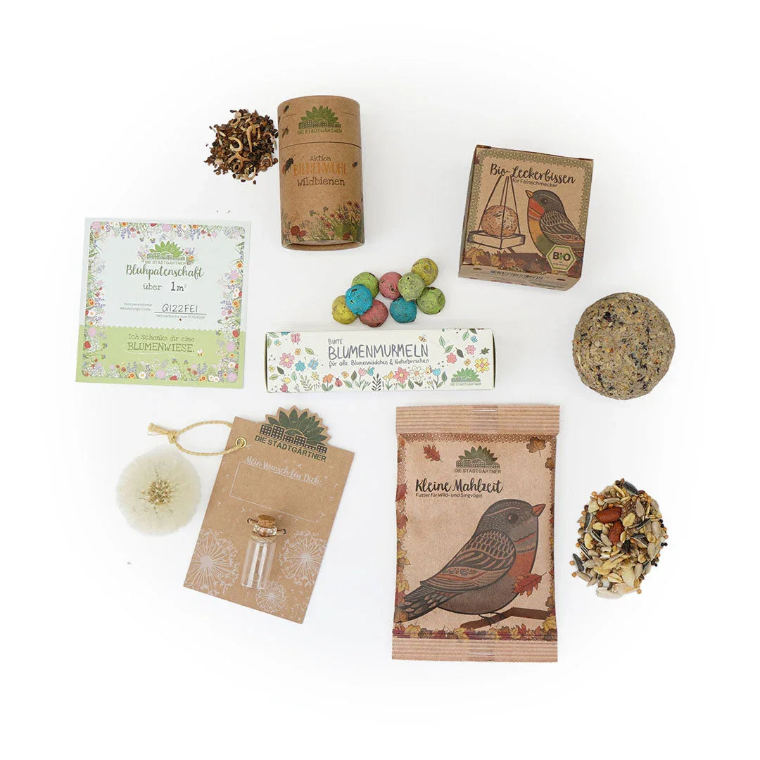 6er Set für deinen Adventskalender