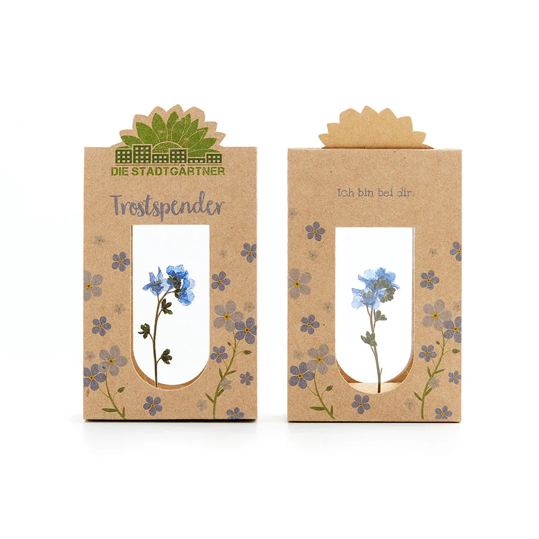Trostspender – Echtes Vergissmeinnicht