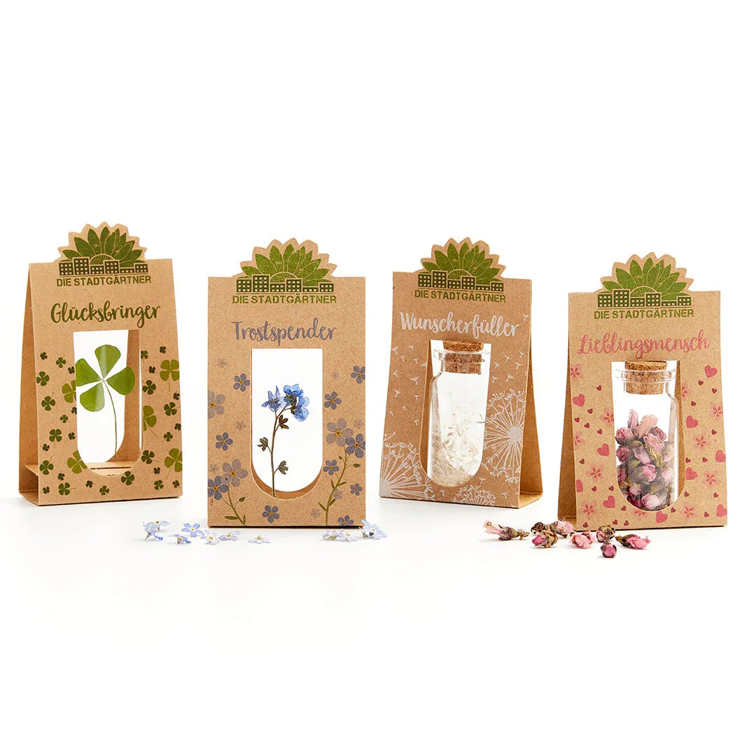 Wunscherfüller, mittel