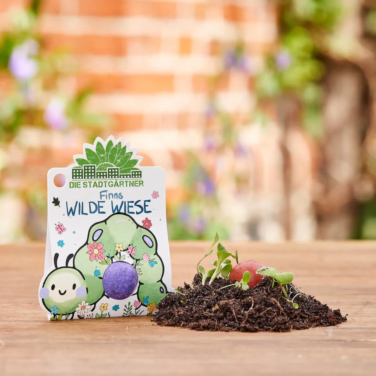 3 x 1 Blumenmurmel – Alle Sorten