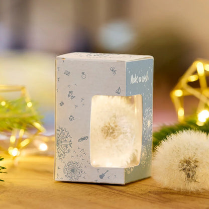 Wunscherfüller – Geld kreativ verpacken