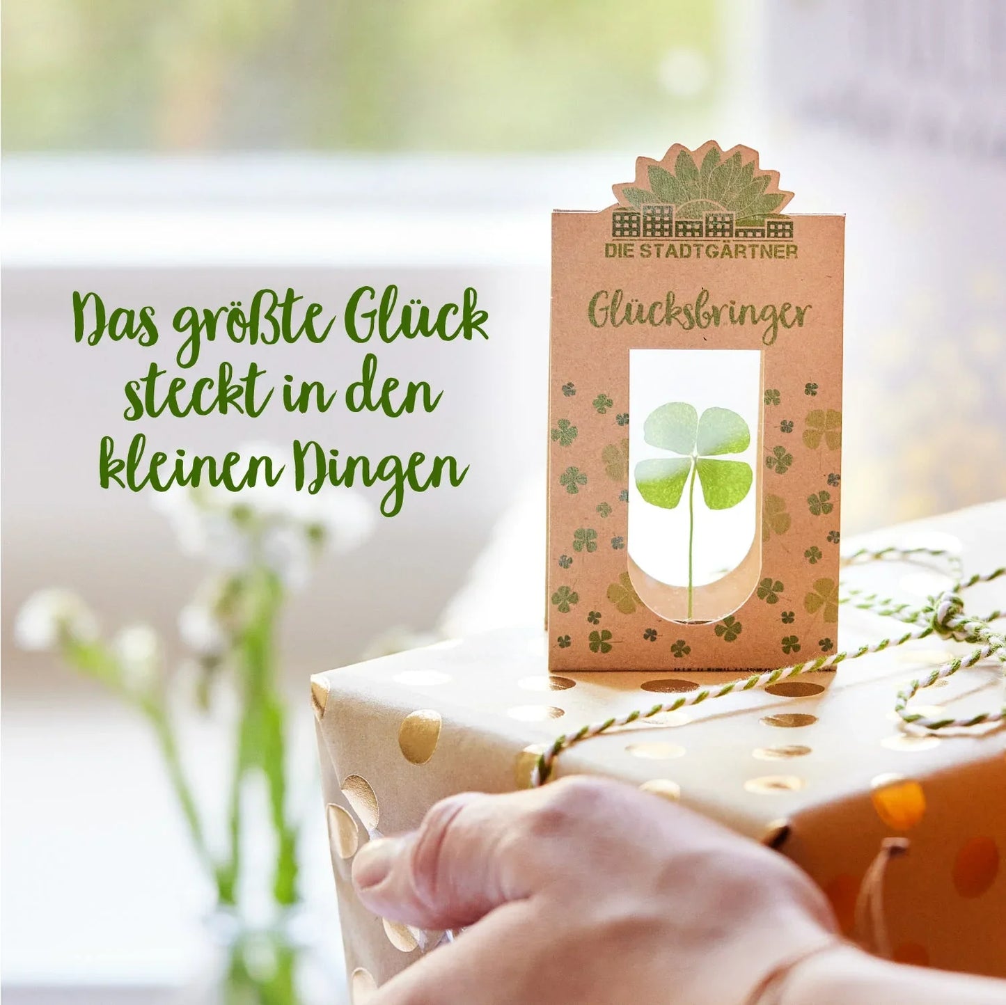 Glücksbringer – Echtes Kleeblatt