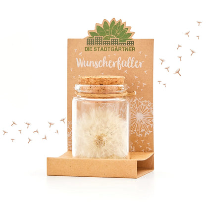 Großer Wunscherfüller – Pusteblume im Glas