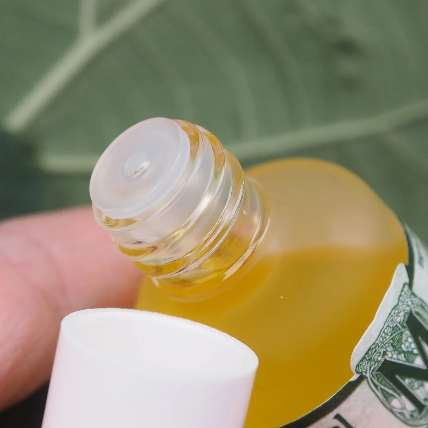 Jojobaöl Neutral BIO